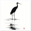 Unveiling Nature’s Grace: A Majestic Heron in Monochrome 20