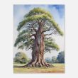 A Splendid Tree in Watercolor Wall Art 18